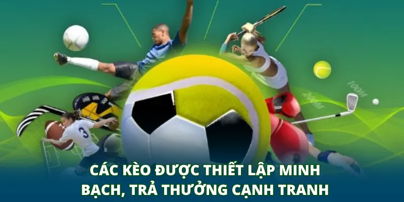 Các kèo được thiết lập minh bạch, trả thưởng cạnh tranh