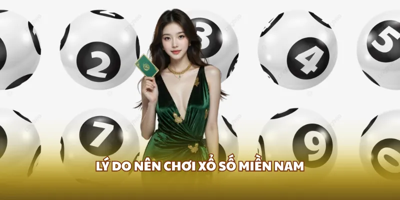 Xổ Số Miền Nam GO8 - Cơ Hội Trúng Thưởng Hấp Dẫn Mỗi Ngày 4 Lý do nên chơi Xổ số miền Nam