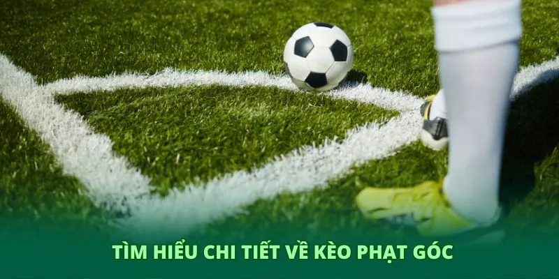 Kèo phạt góc – Phân tích chuyên sâu và trải nghiệm cùng GO8 2 Tìm hiểu chi tiết nhất thông tin về kèo phạt góc